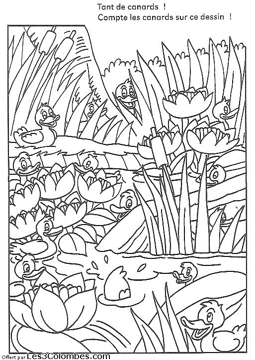 exercice de concentration 43