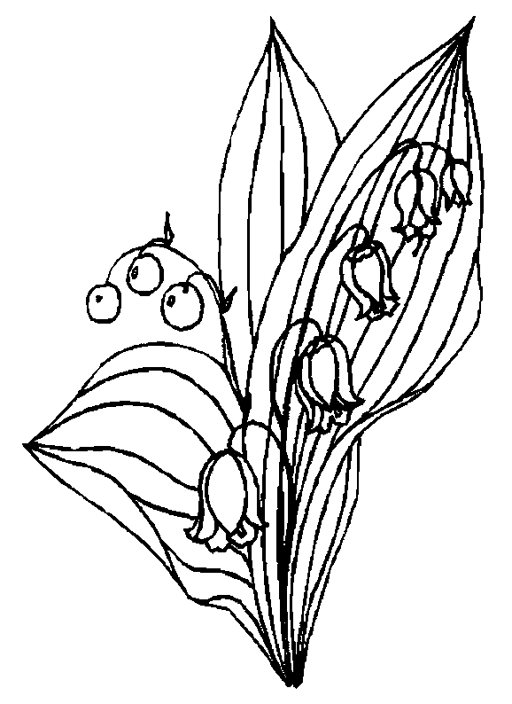 coloriage muguet 14