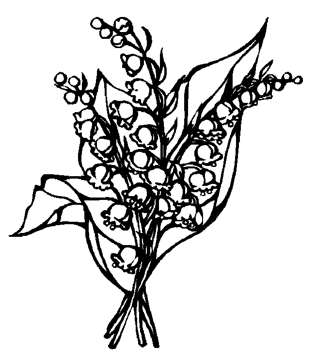 coloriage muguet 16