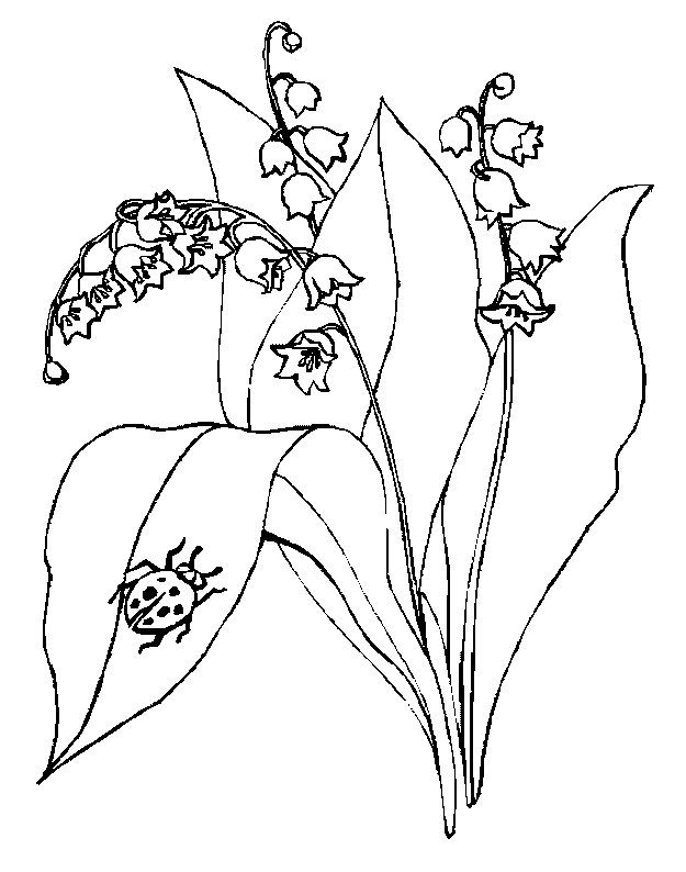 coloriage muguet 18