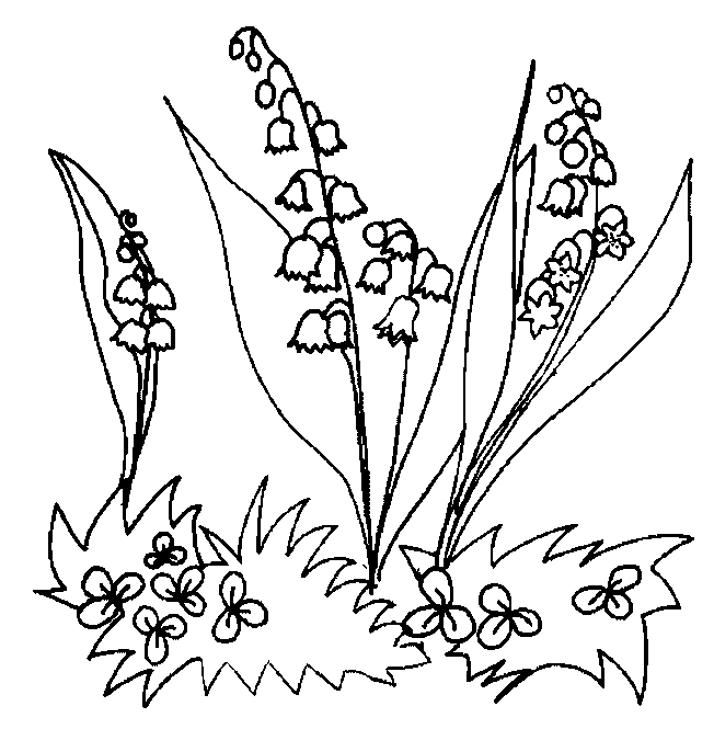 coloriage muguet 21