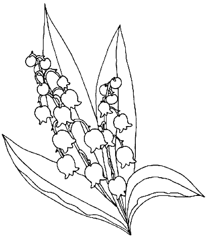 coloriage muguet 22