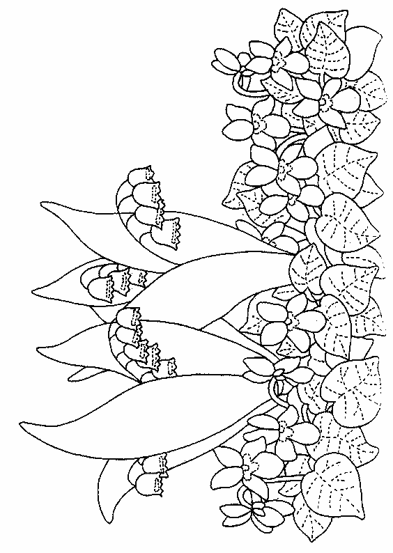 coloriage muguet 25