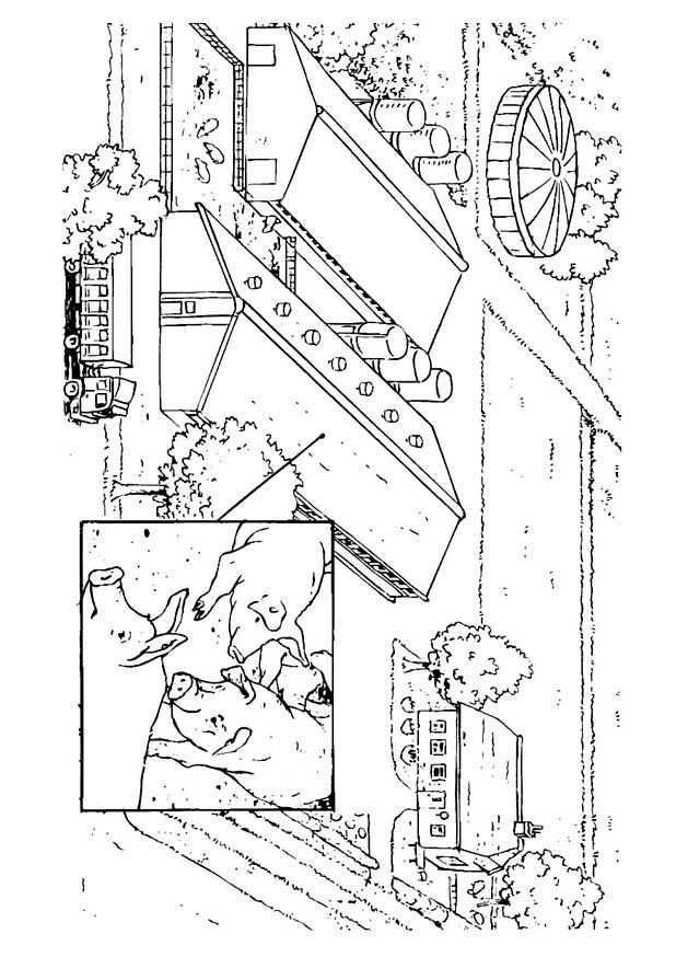 coloriage action -levage-de-porcs 068