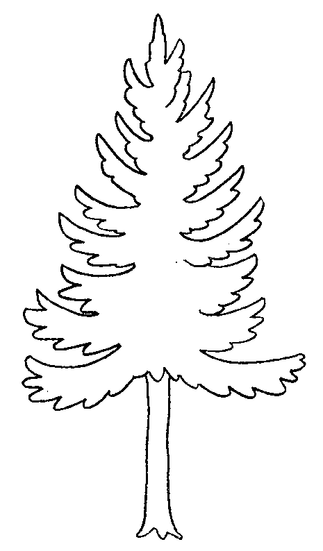 coloriage arbre 11