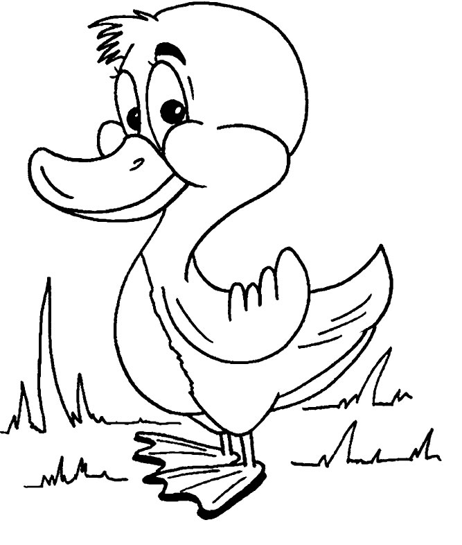 coloriage canard 05