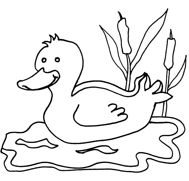 coloriage canard 06