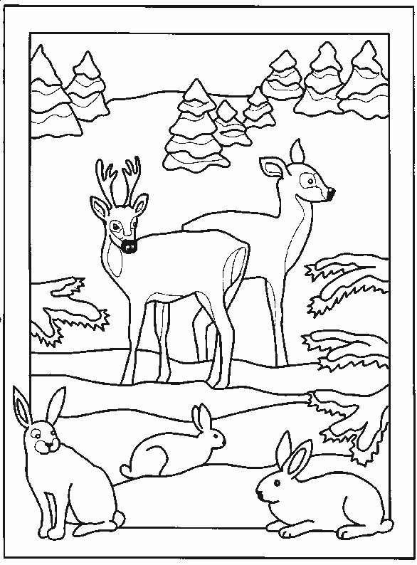 coloriage cerf 03