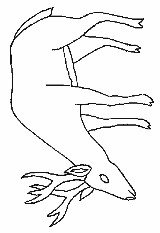 coloriage cerf 05