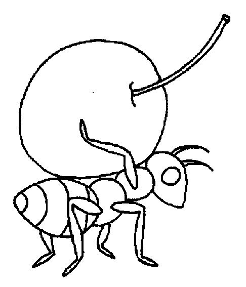 coloriage cerise 03