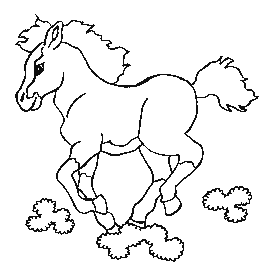 coloriage cheval 47