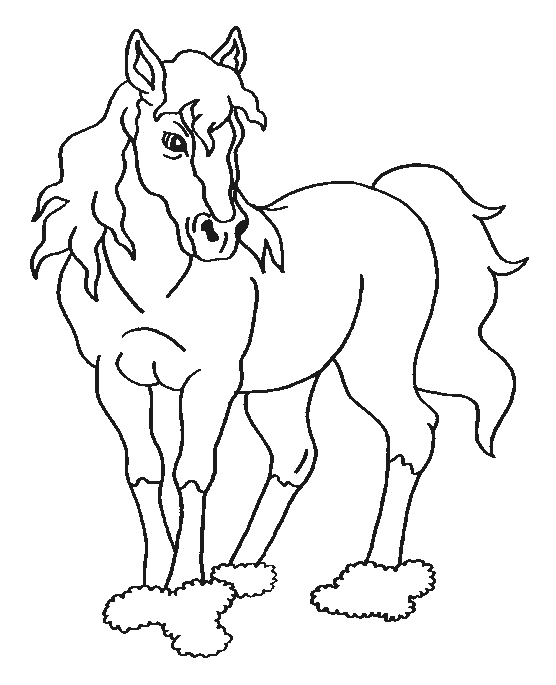 coloriage cheval 49