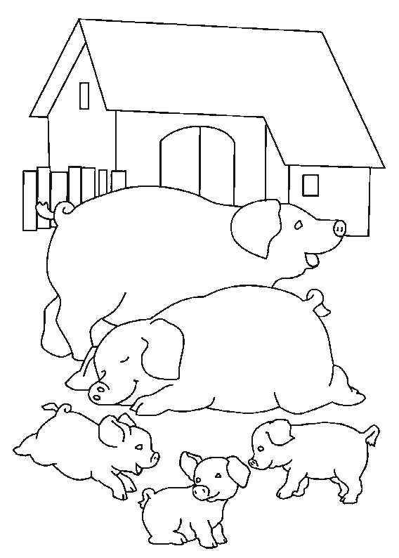 coloriage cochon 03