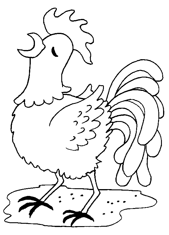 coloriage coq 09