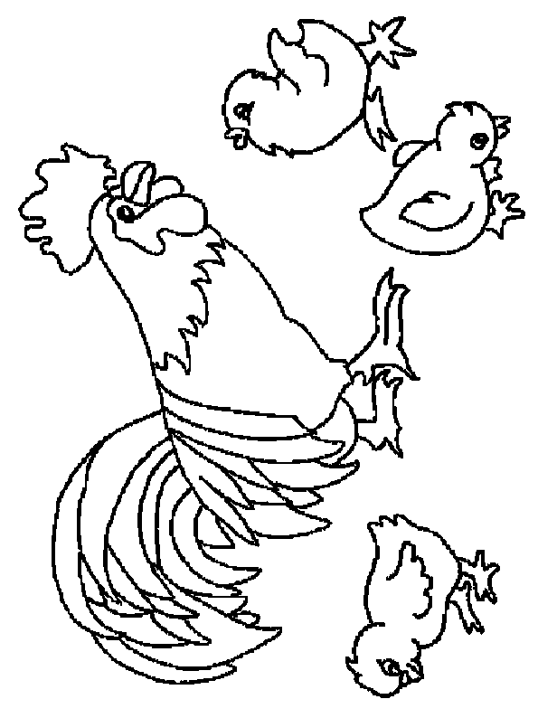 coloriage coq 10