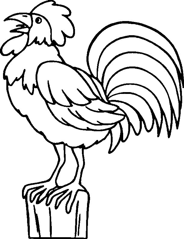coloriage coq 18