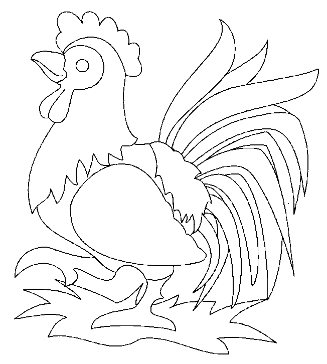 coloriage coq 29