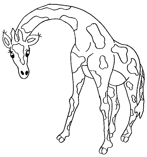 coloriage girafe 05