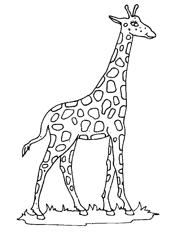 coloriage girafe 06