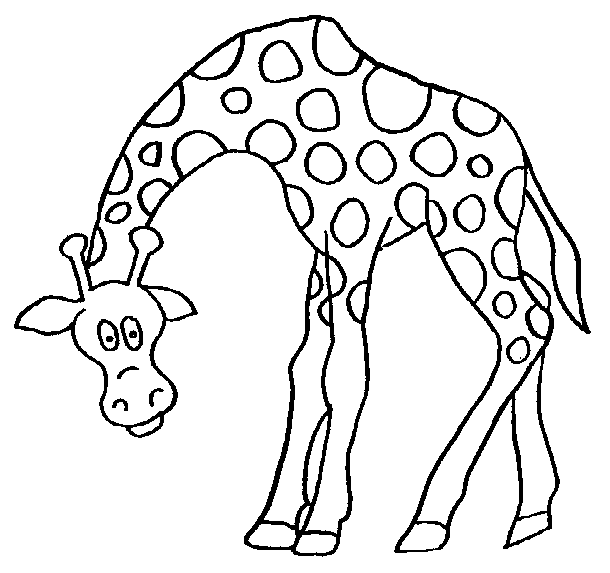 coloriage girafe 07