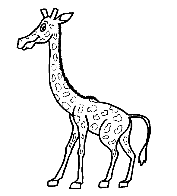 coloriage girafe 16