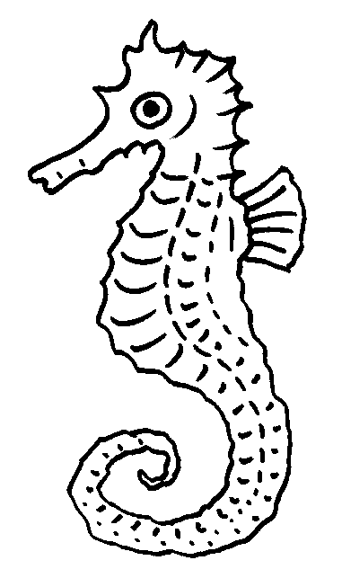 coloriage hippocampe 03