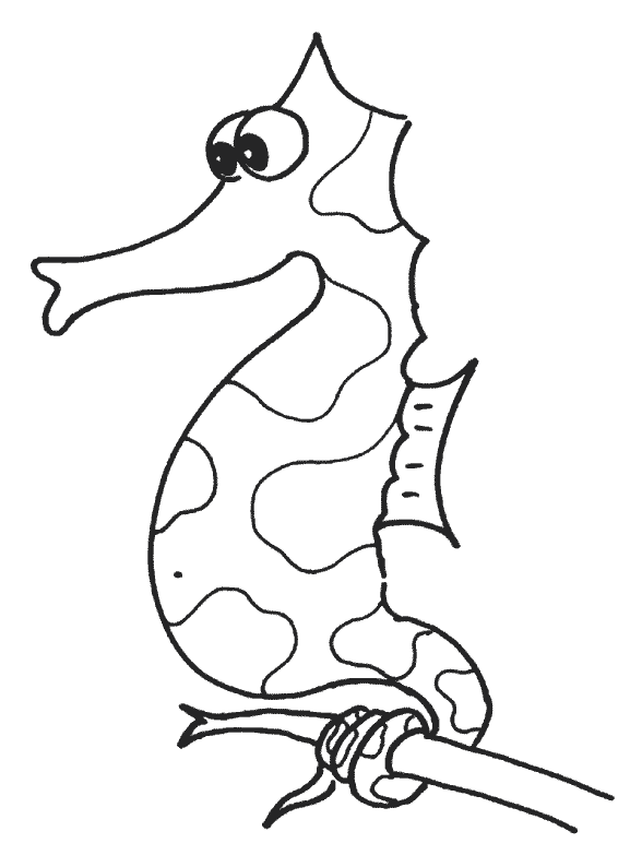 coloriage hippocampe 07