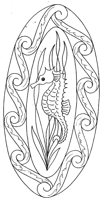 coloriage hippocampe 13