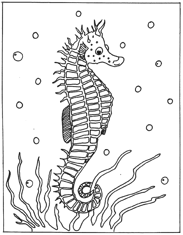 coloriage hippocampe 14