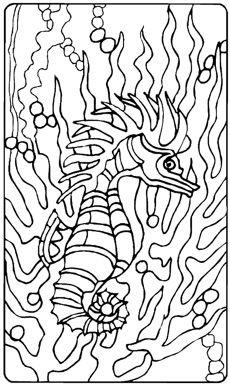 coloriage hippocampe 15