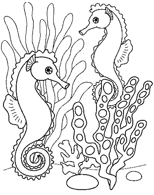 coloriage hippocampe 19