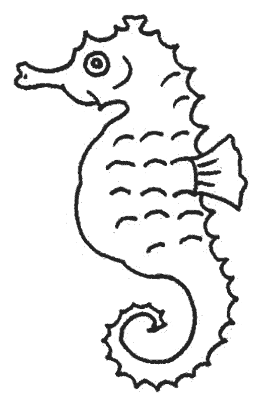 coloriage hippocampe 20