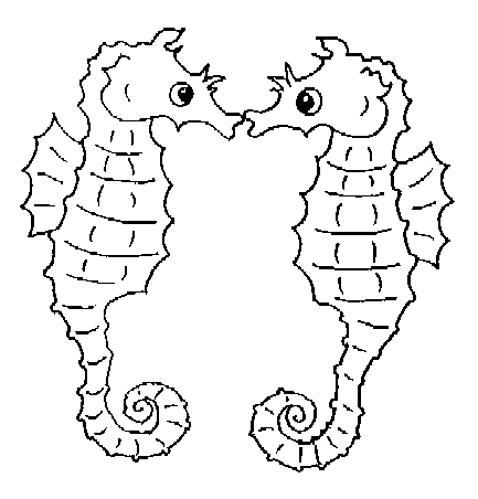 coloriage hippocampe 32