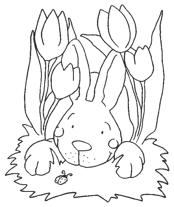 coloriage lapin 40