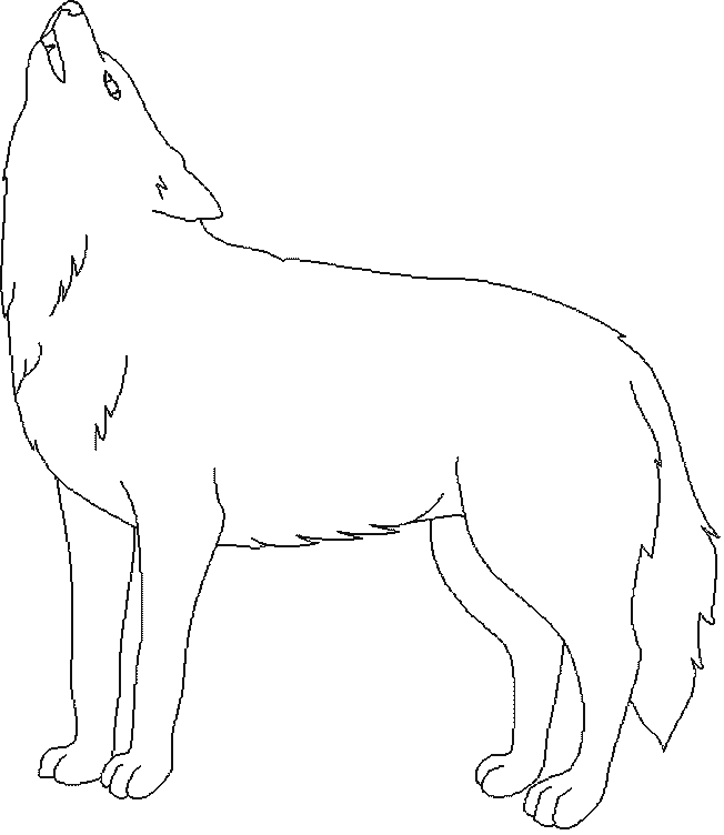 coloriage loup 12