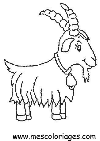coloriage mouton 07