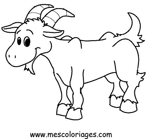 coloriage mouton 21
