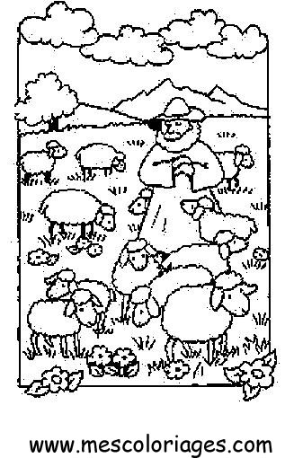 coloriage mouton 57