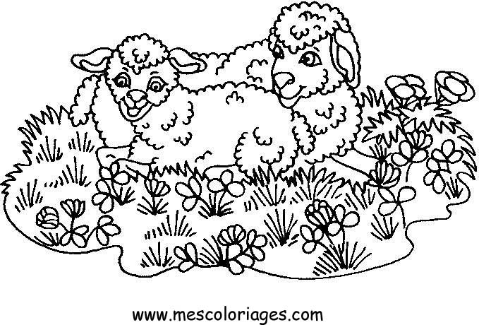 coloriage mouton 67
