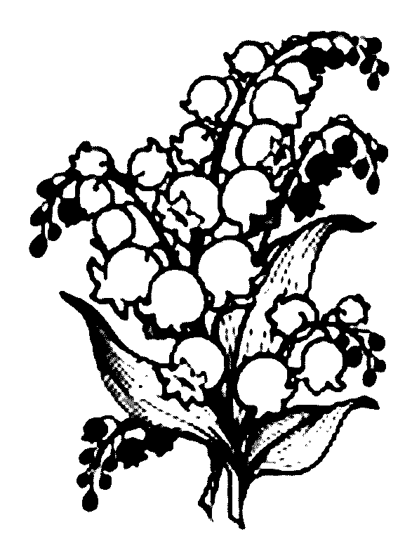 coloriage muguet 10