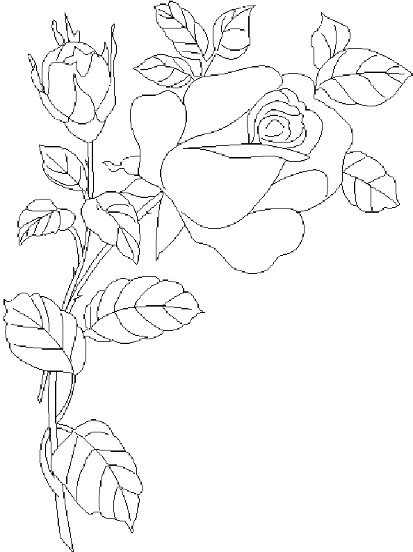 coloriage rose 02
