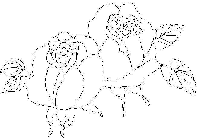 coloriage rose 05