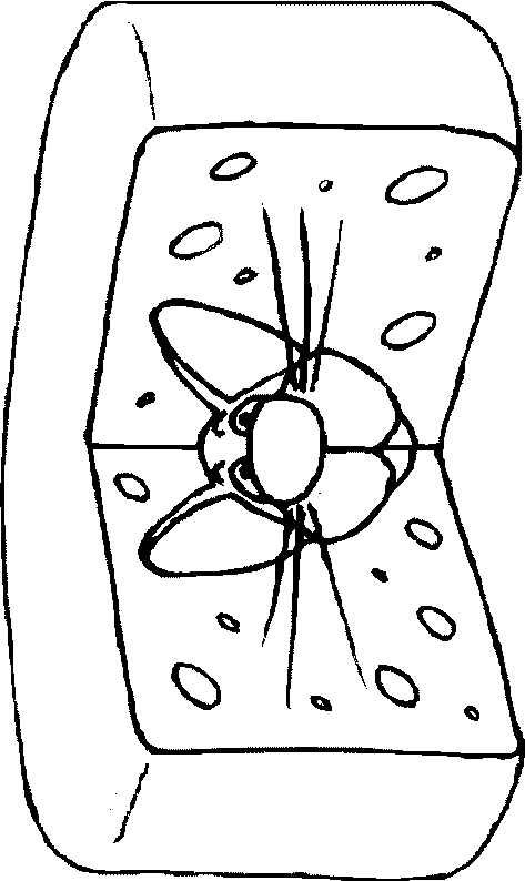 coloriage de souris 09