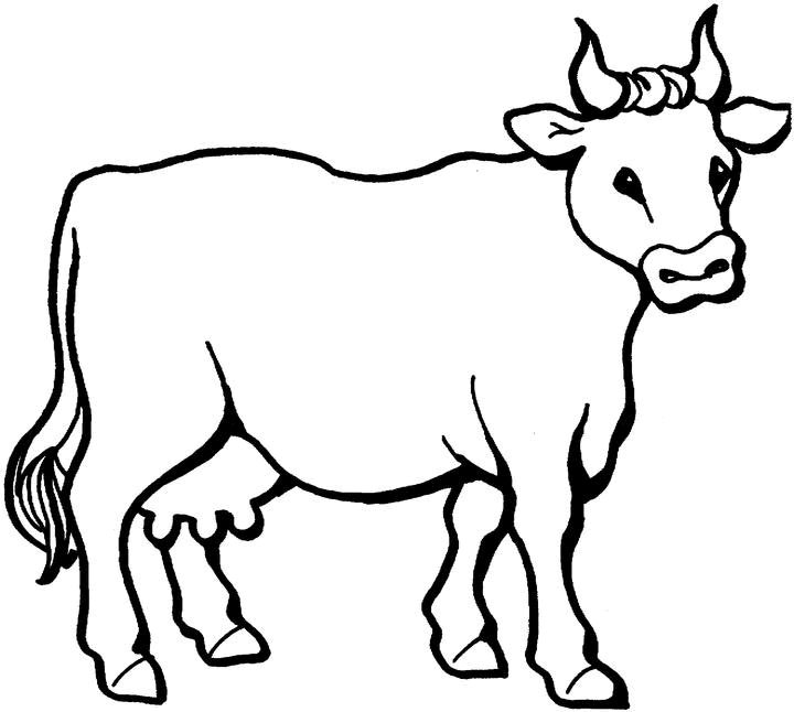 coloriage vache 02
