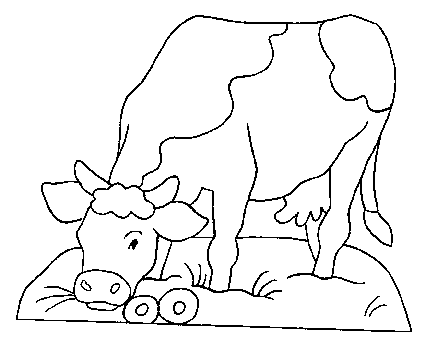 coloriage vache 31