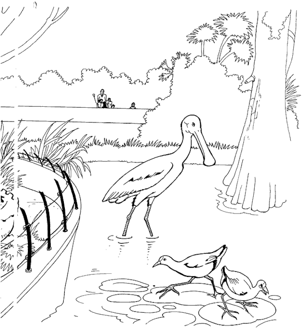 coloriage les animaux du zoo 08