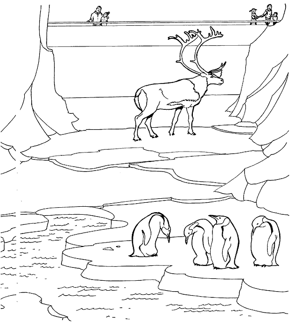 coloriage les animaux du zoo 26